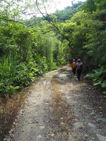 猴山坑古道健行1046675