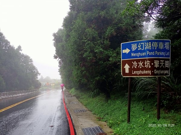 百拉卡公路人車分道、環七星山人車分道百拉卡公路入口站至冷水坑段、大港墘公園【走遍陽明山、健康大穀東】2307544
