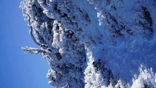 合歡東峰追雪趣1237028