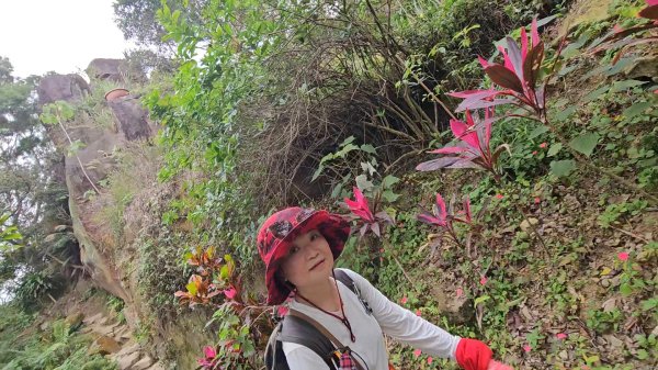 圓通寺烘爐地登山步道大O走3007047
