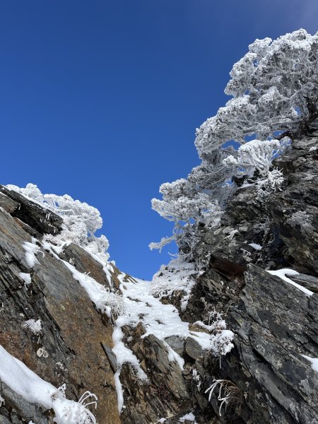 八大秀雪攀初體驗，銀白色中央山脈2413143