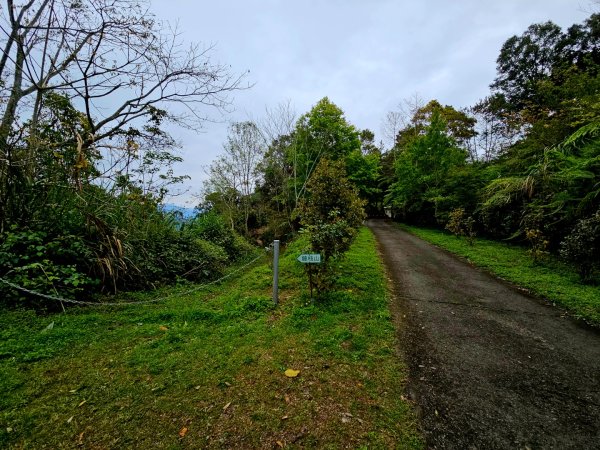 藤枝山-小百岳#68-高雄市桃源區2750321