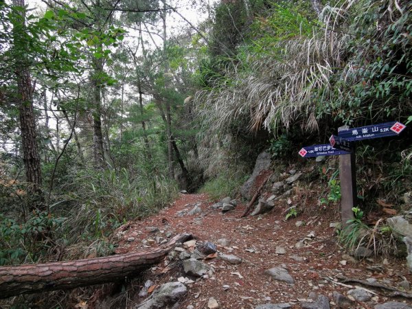 慢遊森活-馬崙山＋斯可巴步道-3/22886971