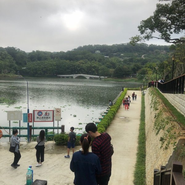 青草湖環湖步道465484