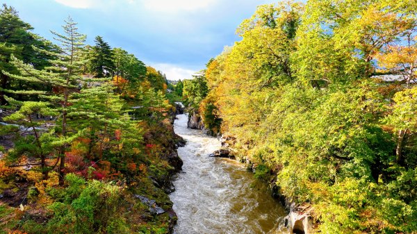 岩手縣嚴美溪2930210