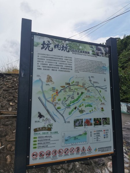 坑內坑森林步道-體驗生態與森林浴的進香道1049357