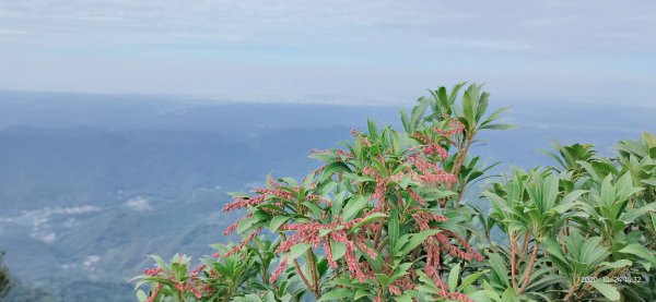 小百岳行～苗栗仙山(#33)（紅毛館山）1143926