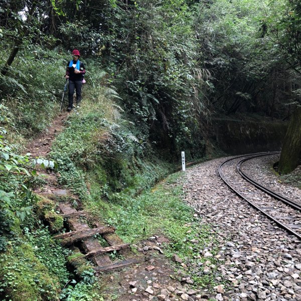 大塔山、對高岳、小笠原 O型環線1195242