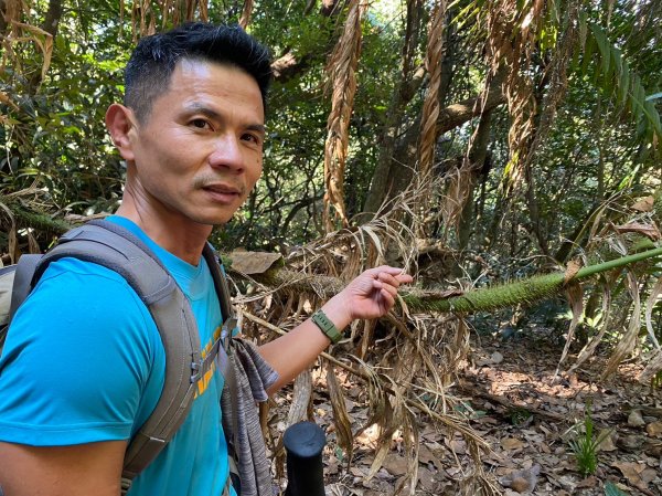 六龜美輪山【享受簡單純粹的登山樂趣】2415552