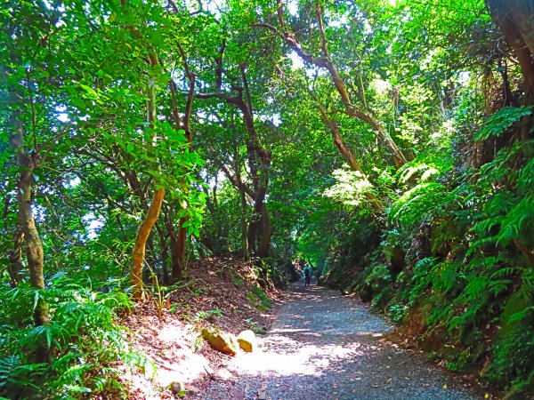 夏季清涼步道：翠峰瀑布與步道619569