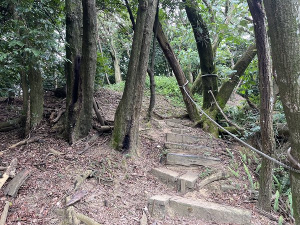 [微笑山線_第三段] 2025_0720 鳶山山系_鳶尾山2843655