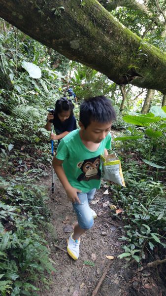 新溪洲山之樂400364