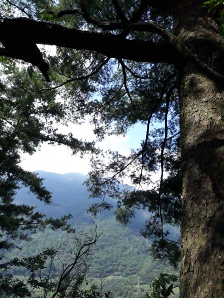 台中谷關七雄唐麻丹山（裡冷線）20190908675185