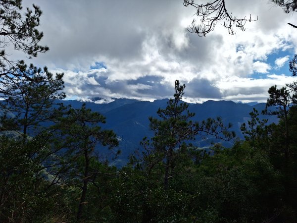 觀霧之榛山O型202411232653907