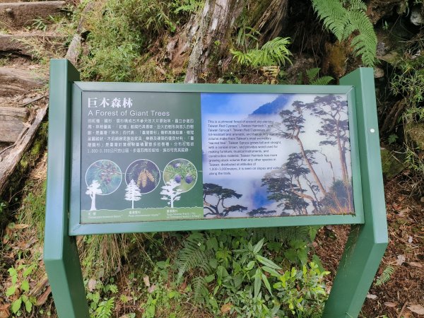 台東/高雄-庫哈諾辛山3053787