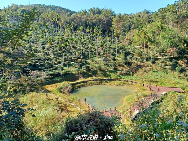 【南投魚池】天晴健行趣。 台版侏儸紀公園_澀水森林步道2407792