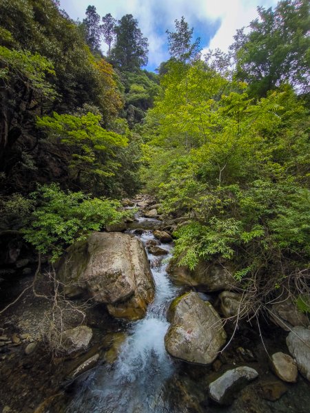 2025-05-17 羅葉尾溪秘境2792417