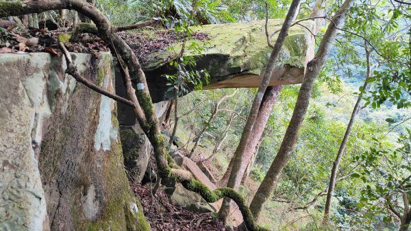 鞍輪名山(藤苞山)O型大竹溪山 (玩命關頭不建議來爬) 2023年12月24日2386385