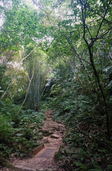 桃園石門山+小粗坑2021927