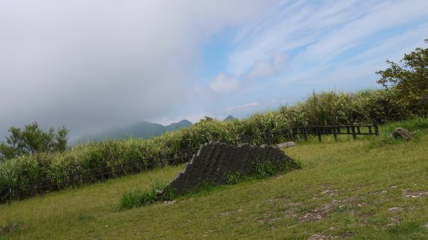 燦光寮山登山健行趣(郊山)1573238