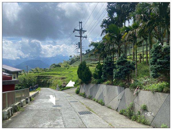 後棟仔山 O型路線2833441