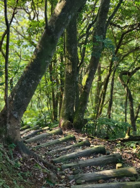 112.12.07 淡蘭古道（雙溪-十分）2551562