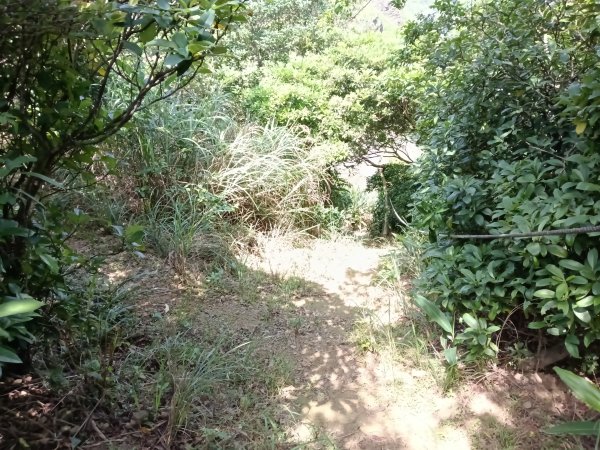 瑞芳區海園古道+鼻頭山稜+門牙岩O型2768348