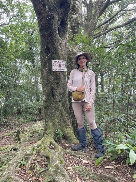 熊空紅河谷越嶺古道2916306