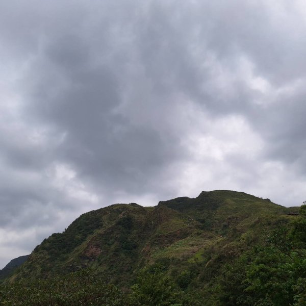 【2025草嶺古道芒花季】完成!2929464