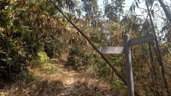 崁頭山步道3002467