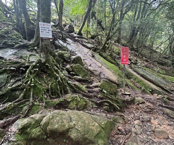 加里山3078654