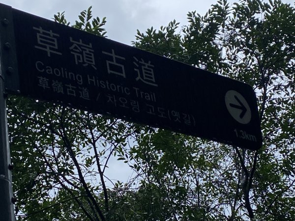 《2025草嶺古道芒花季｜雨天版完整攻略 × 七顆寶石路線實走》2949317