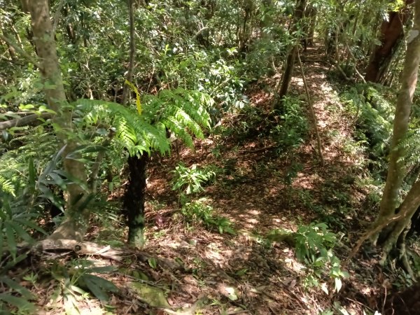 平溪區灰窯山驚險岩稜+司公碗帽山O型2897931