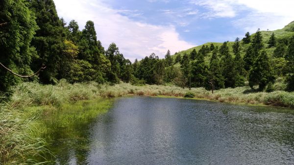 醉在.......如夢似幻138167