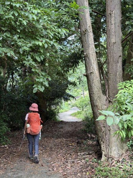 白毛山O繞+臭頭山 202505172791766