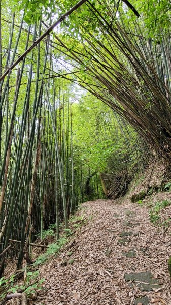 環七星山人車分道2147719