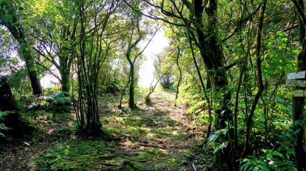 磐石嶺,鳥嘴尖,姜子寮山,姜子寮絕壁2863525