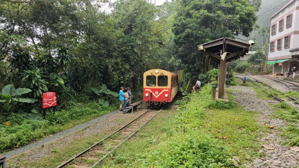 獨立山國家步道 - 2024嘉遊好步道．來嘉走走2644023