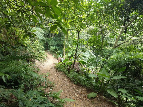 黎和生態公園→富陽自然生態公園→中埔山/東峰→福州山→富陽自然生態公園1438409