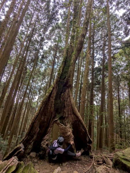 加里山（大坪登山口-杜鵑嶺-避難小屋）2767754
