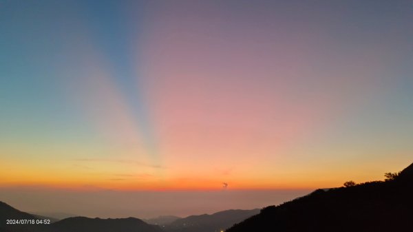 雲山水花鳥蝶 - 天龍國阿伯的日常7/18 & 21、22、292553958