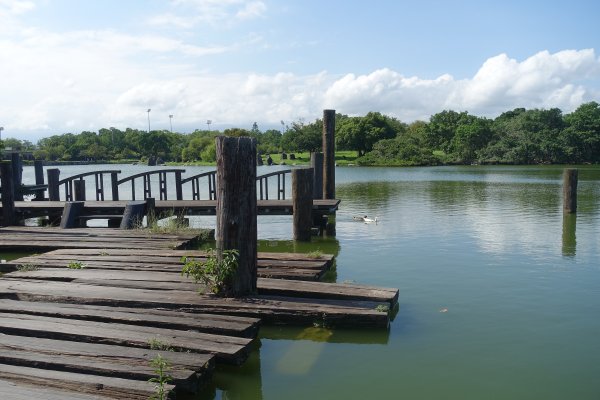 羅東運動公園3088615