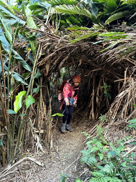 金面山-202503192770603