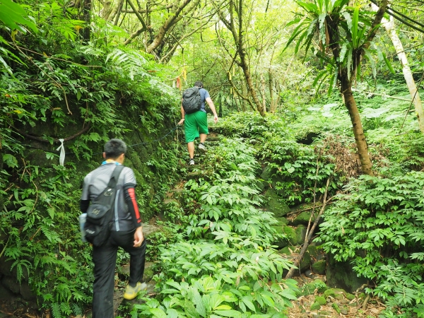 健行日 - 摸乳巷古道、烏塗溪步道85455