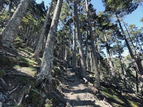 雪山西稜 2025 10/08 五天四夜2918467