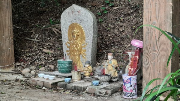 《新竹》城市微旅｜十八尖山+香山濕地賞蟹步道202511012928389