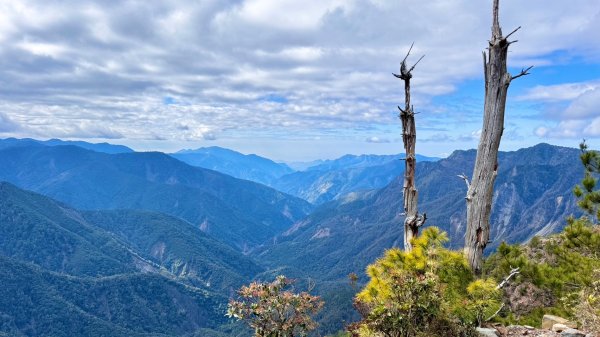 20250122 三角貓🐱遊玉山前峰玩瘋了🌀2698280