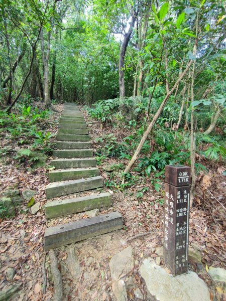 暖東峽谷步道-(基隆)臺灣百大必訪步道2249156