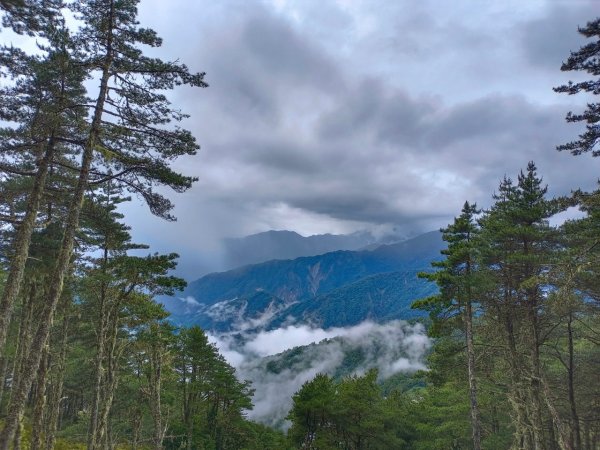 20220625台東海端向陽山、向陽山北峰、三叉山、嘉明湖1745628