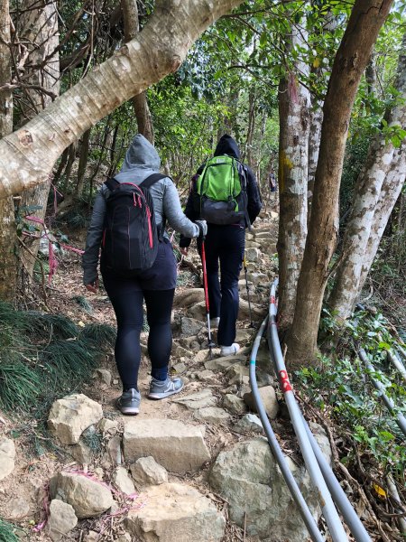 2020.03.08里龍山878283